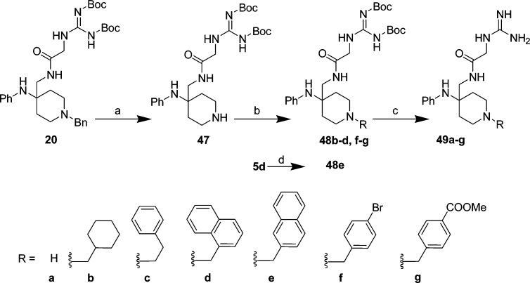 Scheme 8