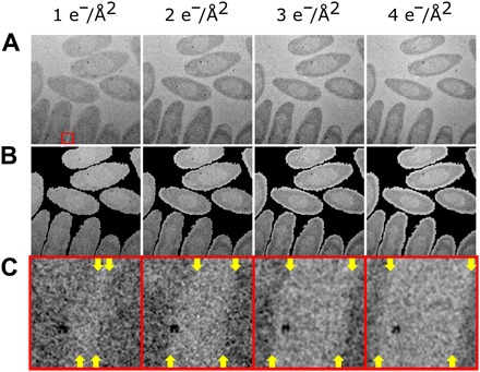 Fig. 4