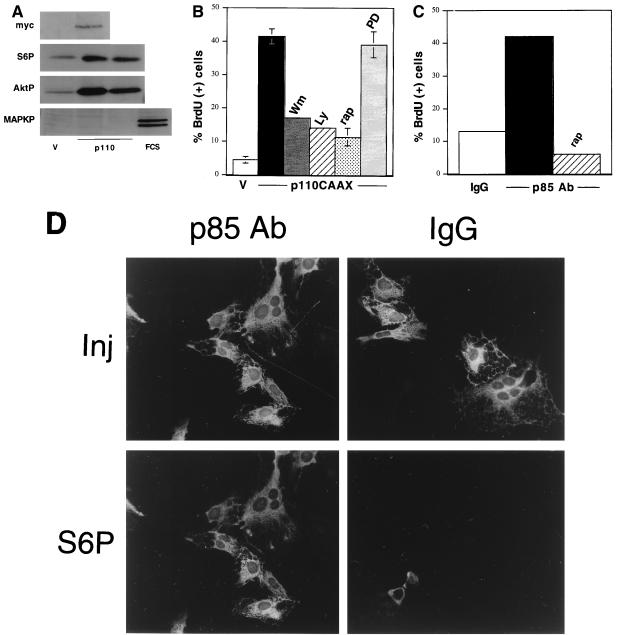 FIG. 6