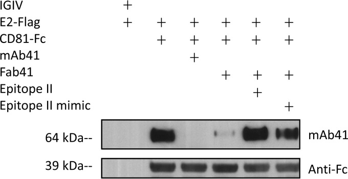 FIG 3