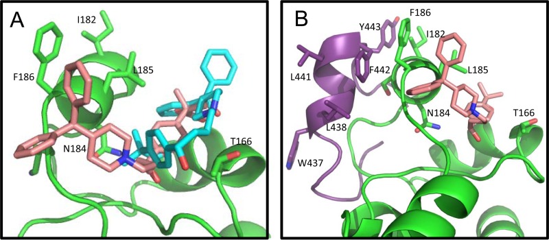 FIG 8