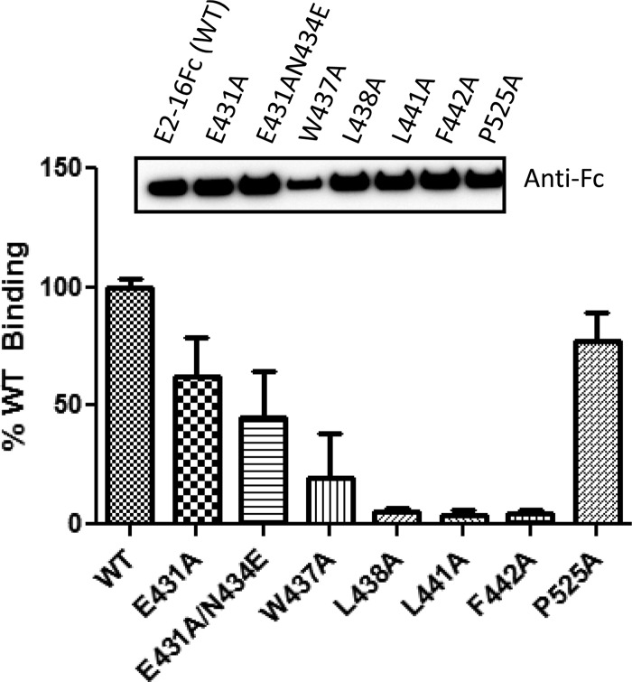 FIG 4