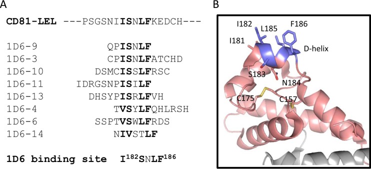 FIG 6