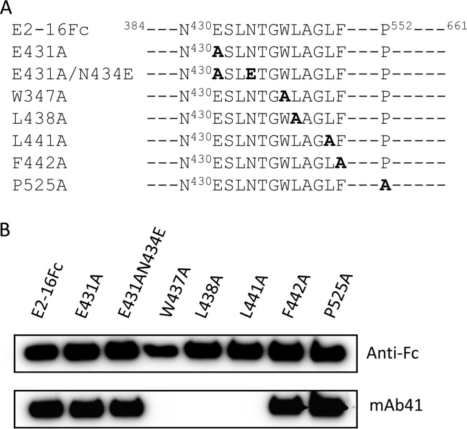 FIG 2