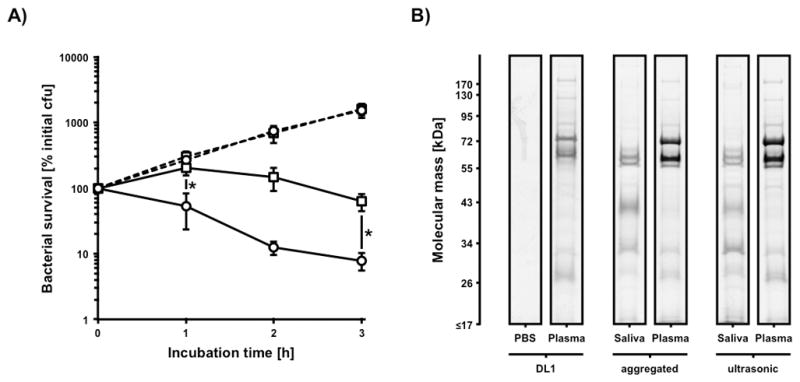 FIG 3