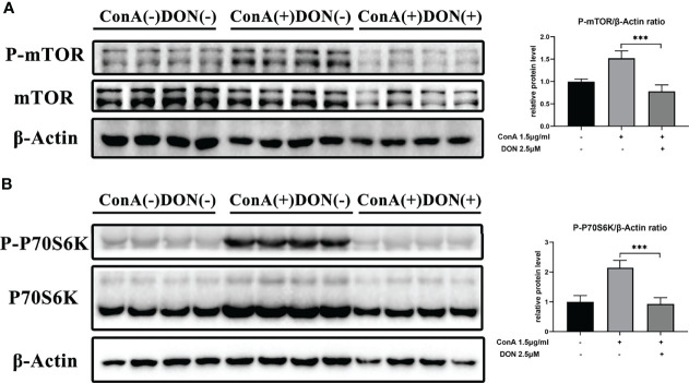 Figure 6