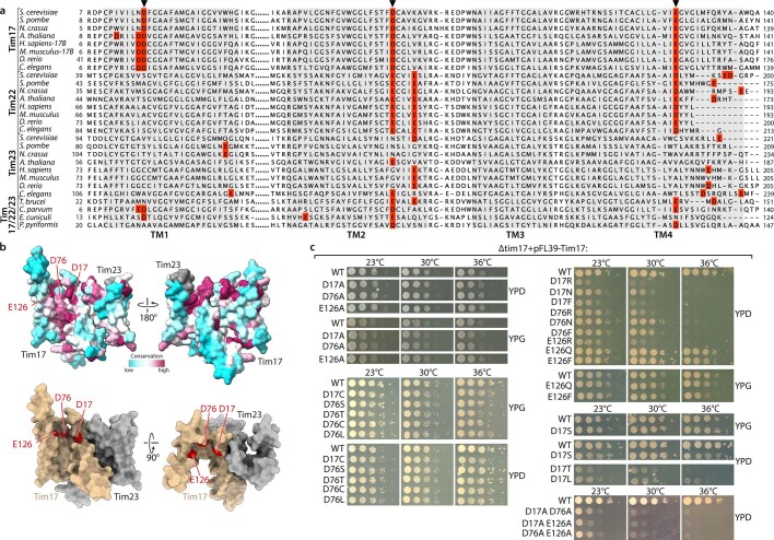 Extended Data Fig. 5