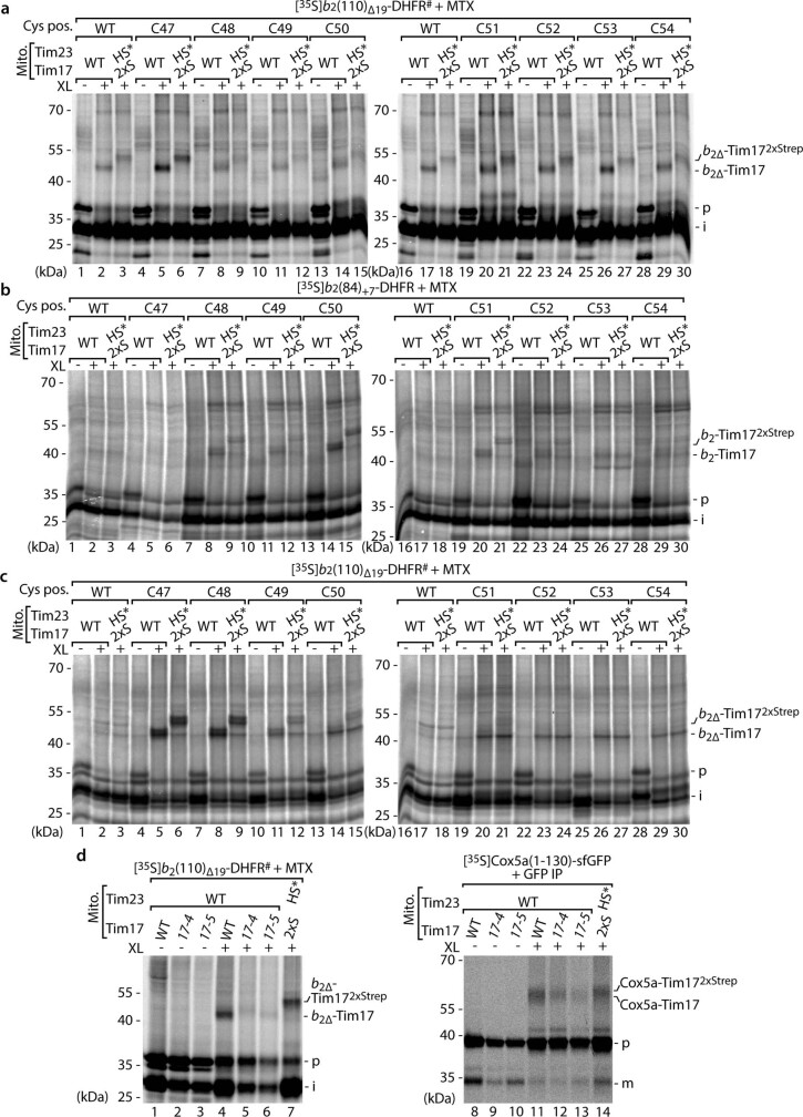 Extended Data Fig. 1