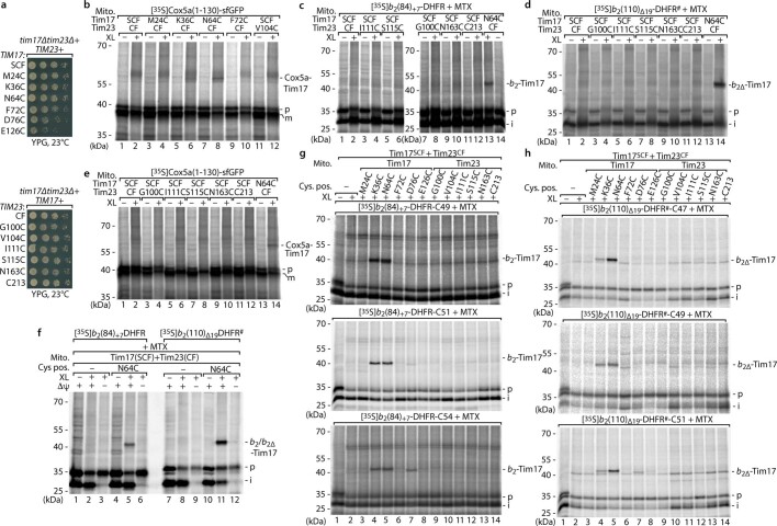 Extended Data Fig. 8