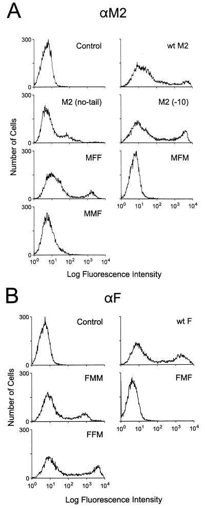 FIG. 1