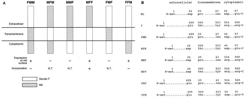 FIG. 6