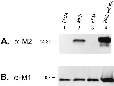 FIG. 8