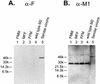 FIG. 7