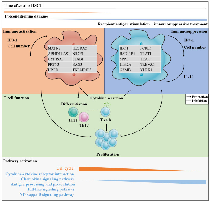 Figure 10