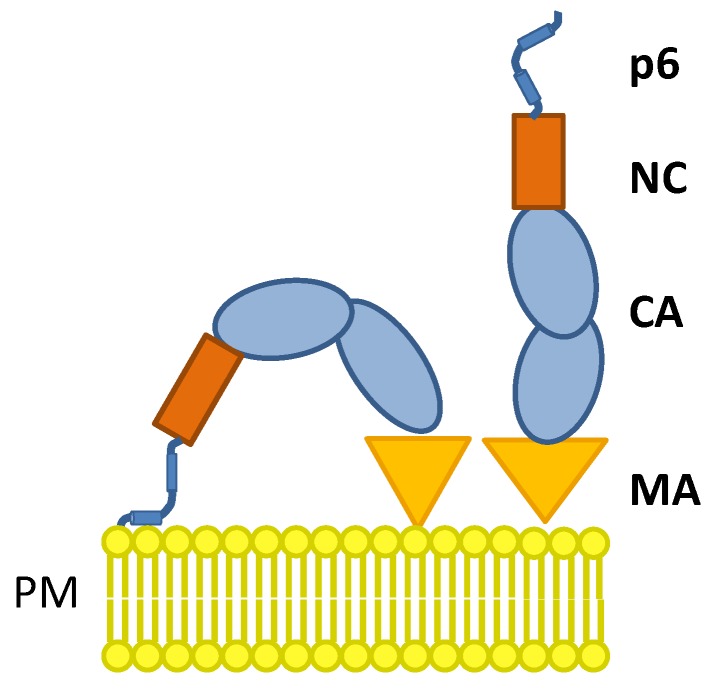 Figure 10