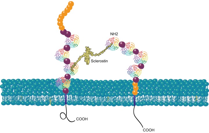 FIGURE 3.