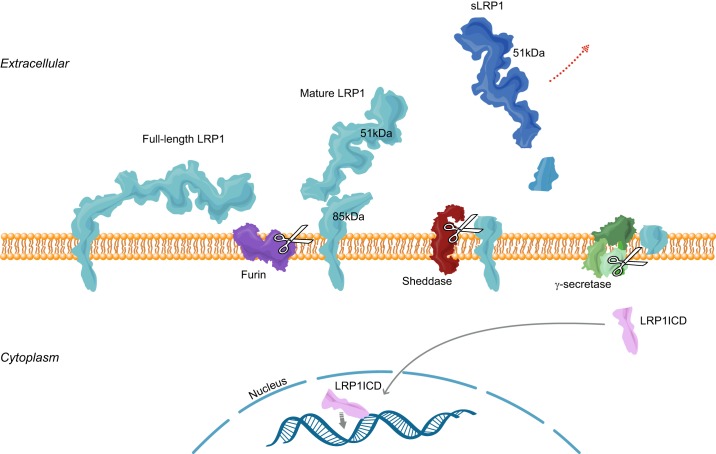 FIGURE 2.