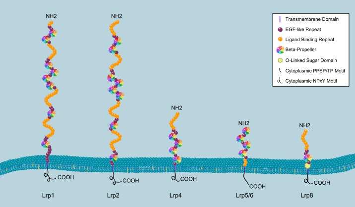 FIGURE 1.