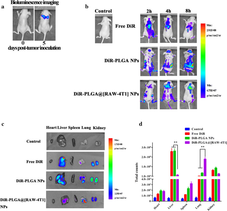 Fig. 4