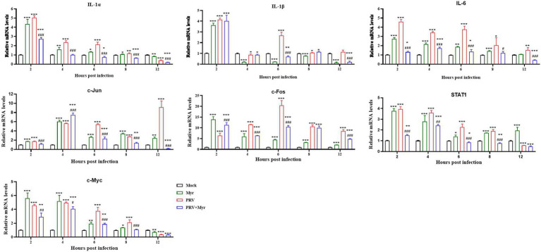 Figure 6