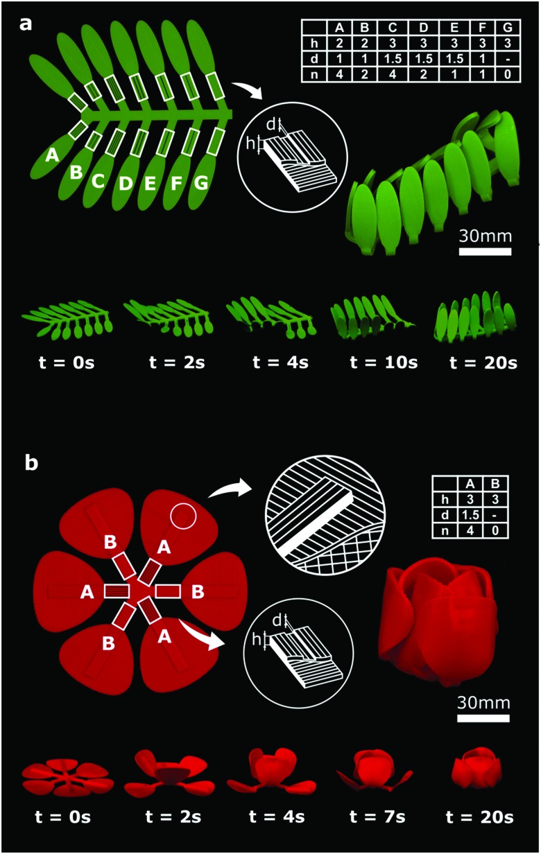 Fig. 4