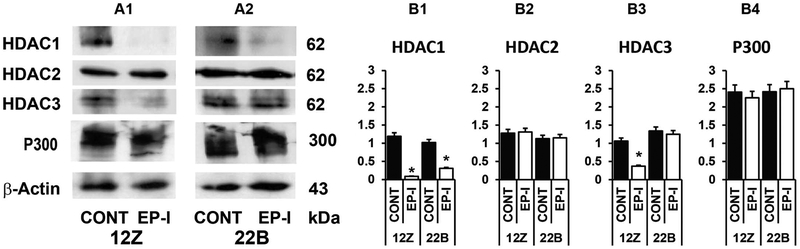 Figure 4: