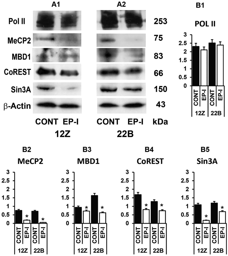 Figure 5: