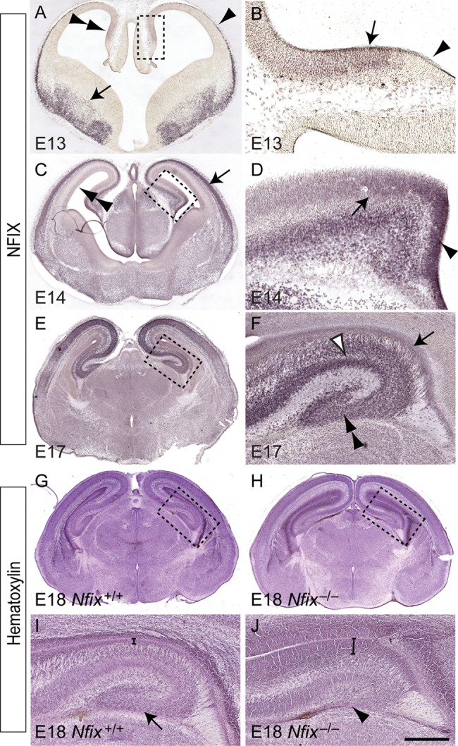 Figure 1.