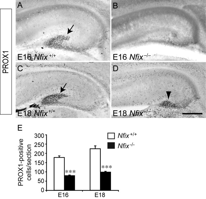 Figure 6.