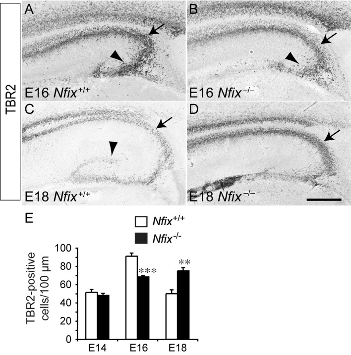 Figure 3.