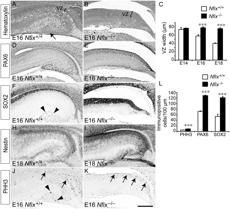 Figure 2.