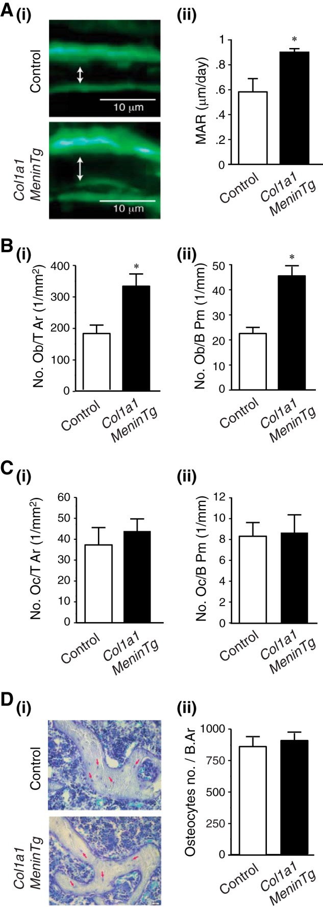 FIGURE 10.