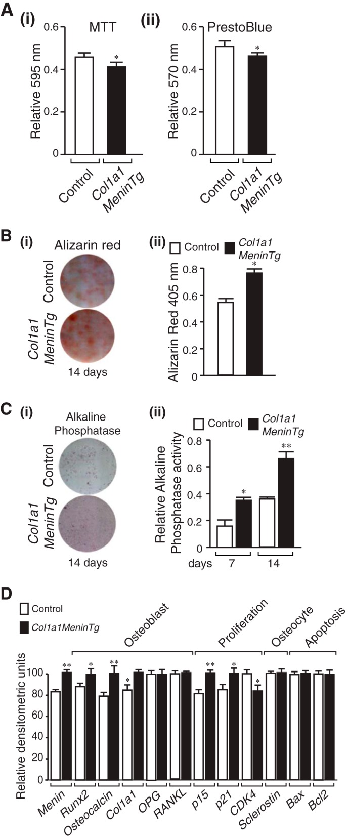 FIGURE 11.