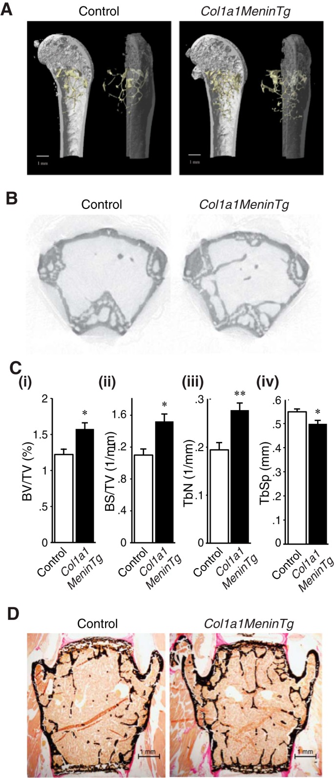 FIGURE 9.