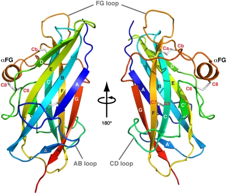 Fig. 1.