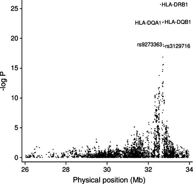 FIGURE 1