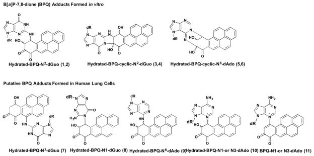 Fig. 11