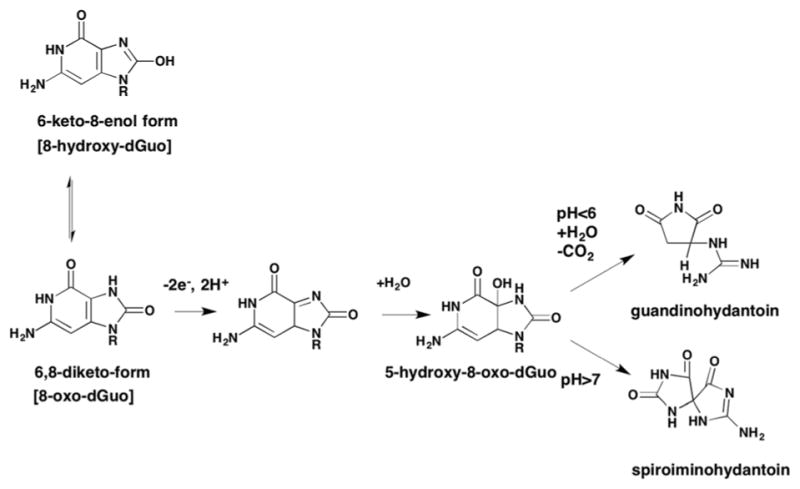 Fig. 8