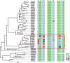 Fig. 4.