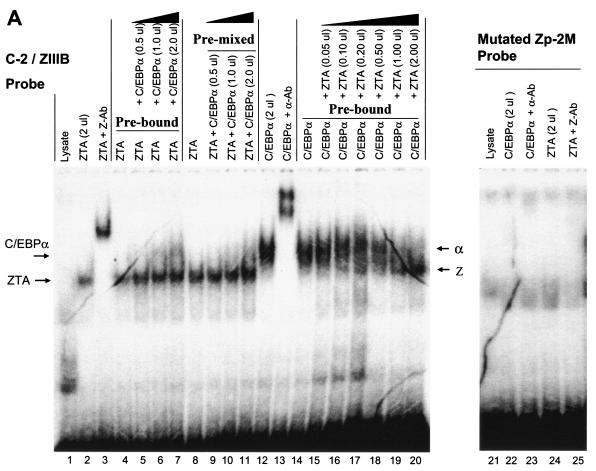 FIG. 5.