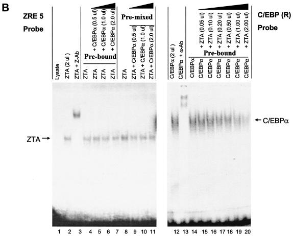 FIG. 5.