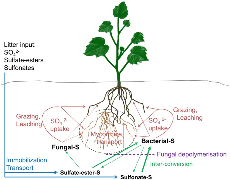 FIGURE 1