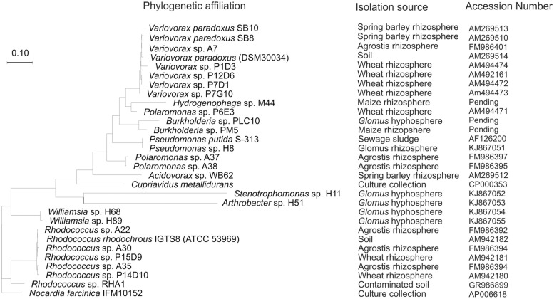 FIGURE 2