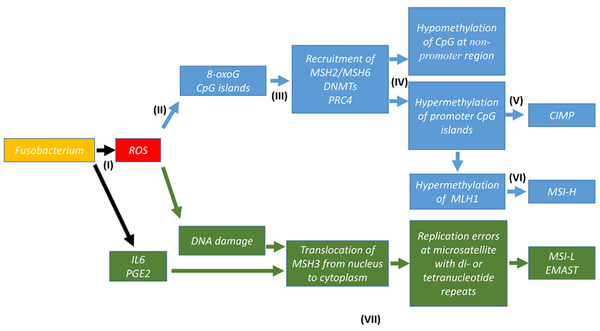 Fig. 1: