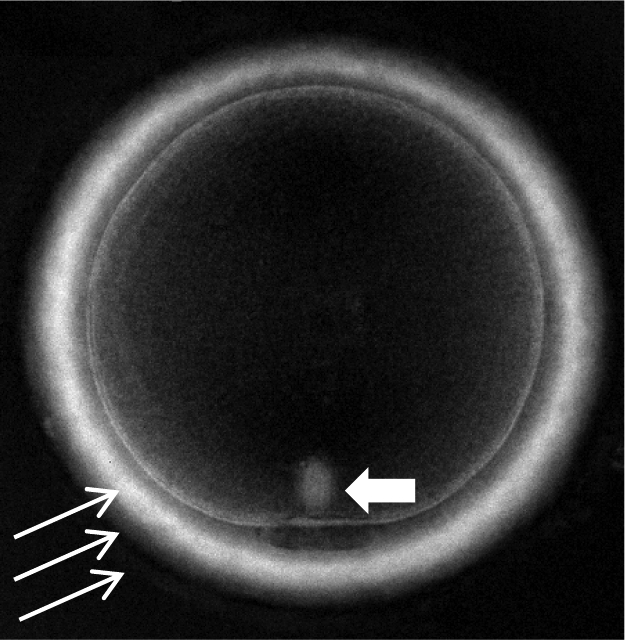 Figure 3