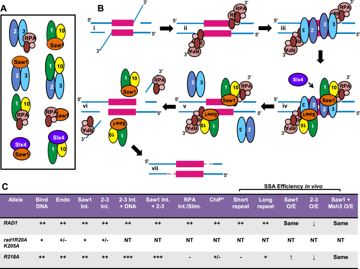 Figure 12.