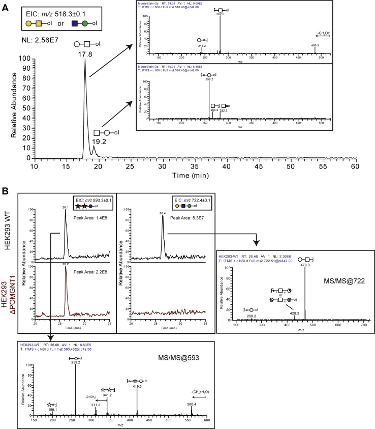 Fig. 7