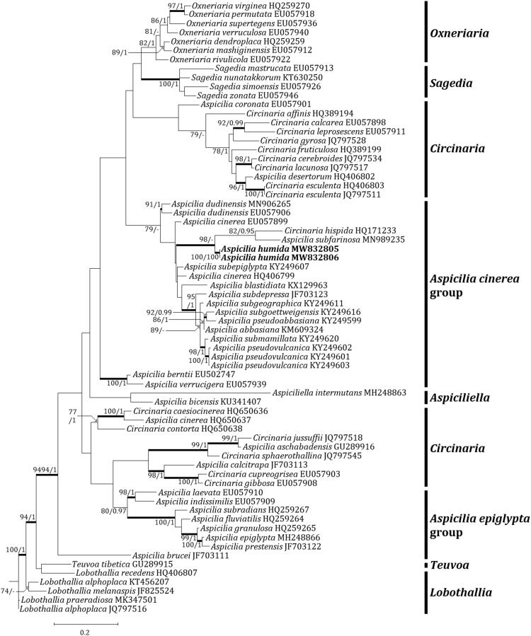 Figure 2.