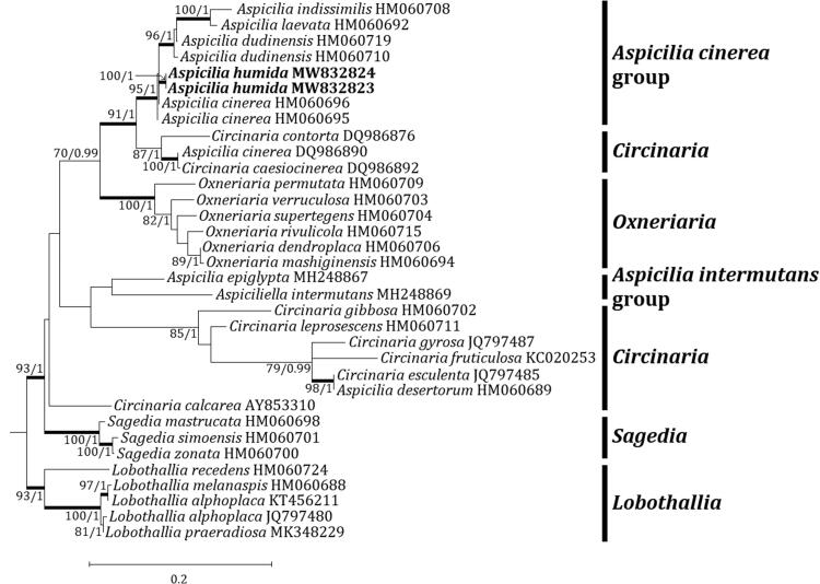 Figure 3.