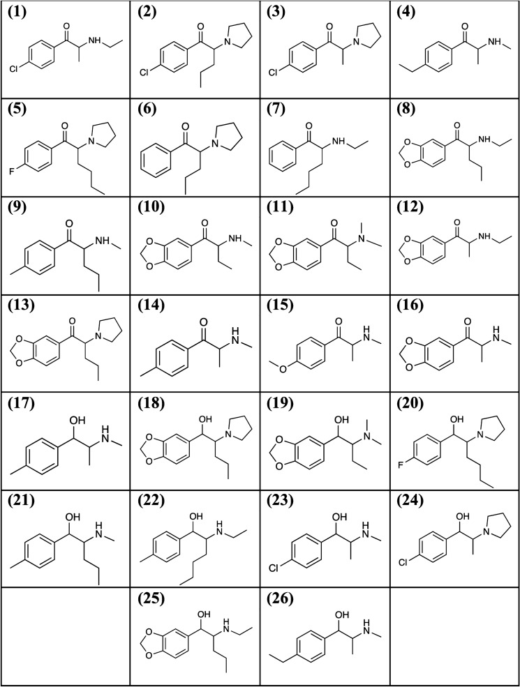 Fig. 1